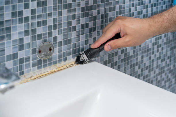 Best Basement Mold Remediation in Christmas, FL