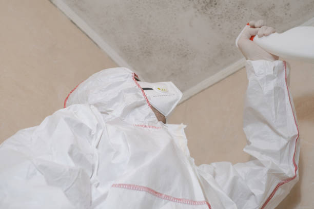 Best Mold Testing and Inspection Services in Christmas, FL
